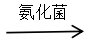 湖北澈之泉環保科技有限公司